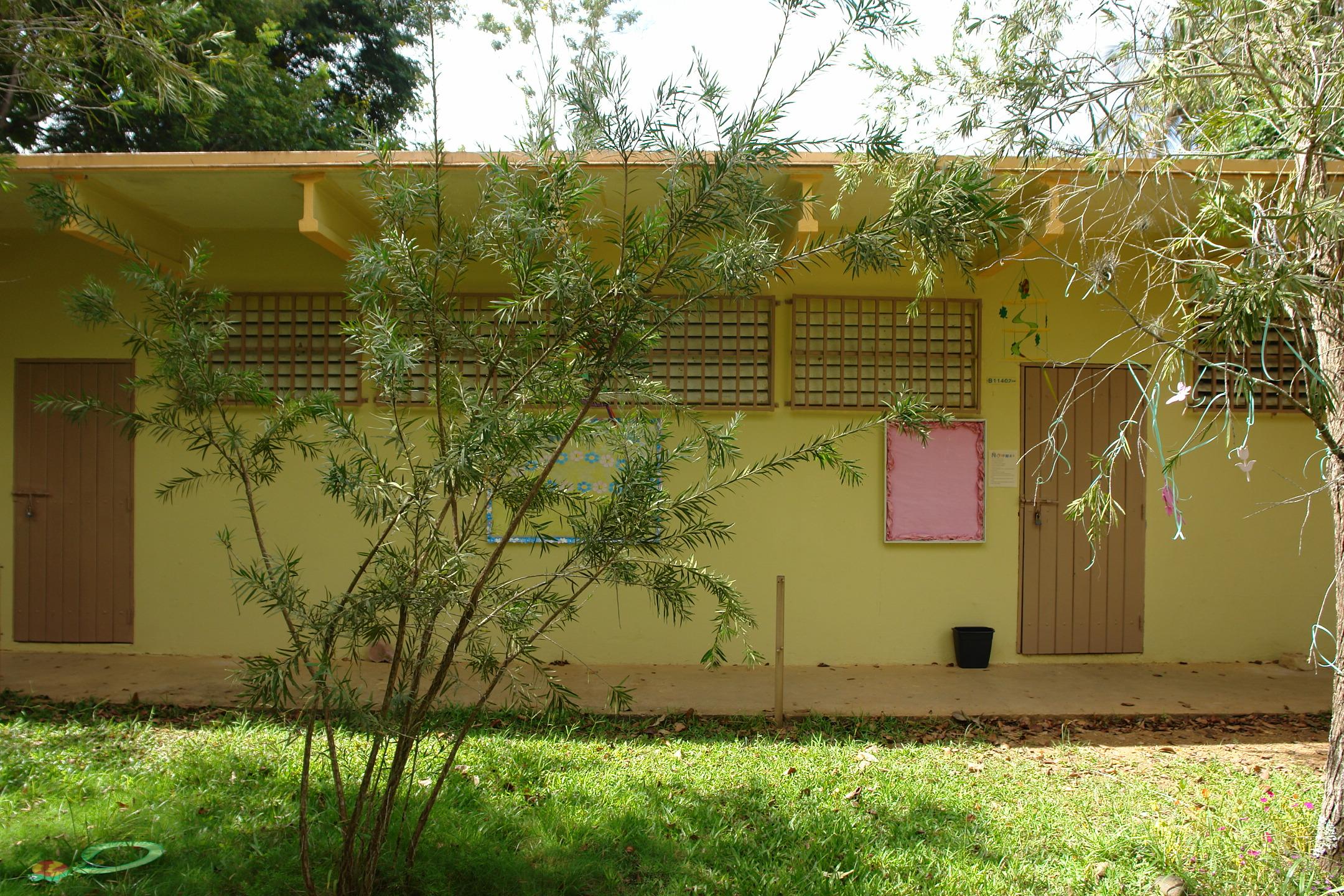 FDII - Aibonito - 2010 00009